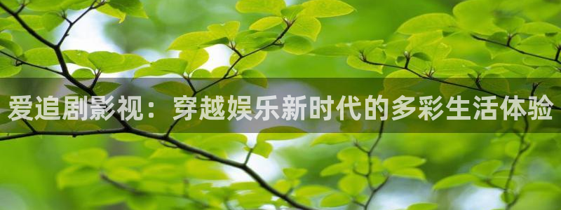 888影视大全：爱追剧影视：穿越娱乐新时代的多彩生活体验