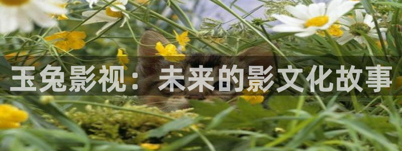 88影视网免费看电视剧：玉兔影视：未来的影文化故事