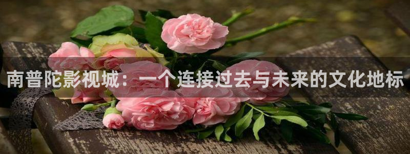 88影视网最新版：南普陀影视城：一个连接过去与未来的文化地标